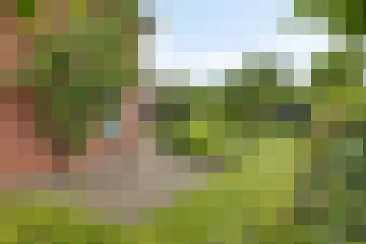 Hoendiep Oostzijde 37 Briltil thumbnail 32