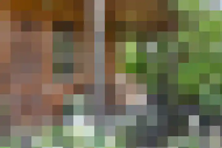 Hoendiep Oostzijde 37 Briltil thumbnail 33