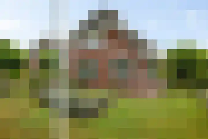 Hoendiep Oostzijde 37 Briltil thumbnail 5