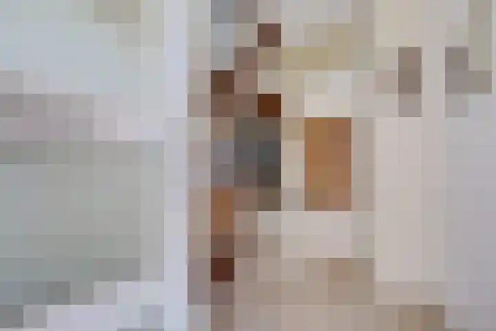 Hoendiep Oostzijde 37 Briltil thumbnail 7
