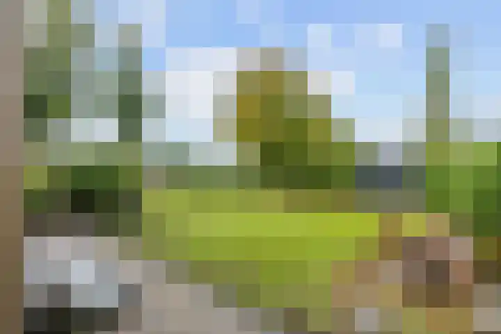 Hoendiep Oostzijde 59 Noordhorn thumbnail 31