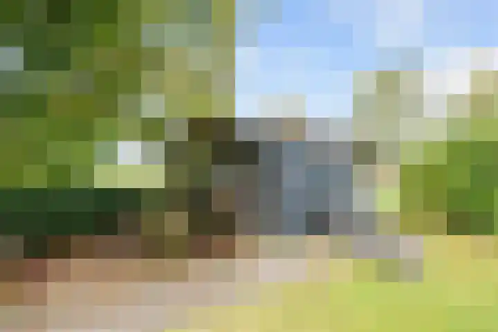 Hoendiep Oostzijde 59 Noordhorn thumbnail 32