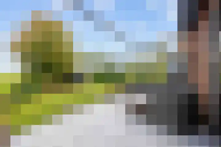 Hoendiep Oostzijde 59 Noordhorn thumbnail 34