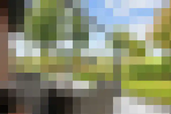 Hoendiep Oostzijde 59 Noordhorn thumbnail 35