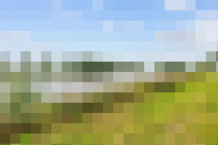 Hoendiep Oostzijde 59 Noordhorn thumbnail 36