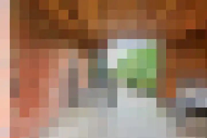 Hoendiep Oostzijde 59 Noordhorn thumbnail 6