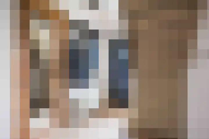Hoendiep Oostzijde 59 Noordhorn thumbnail 8