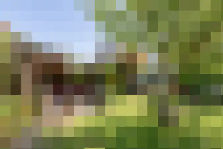 Hoendiep Oostzijde 59 Zuidhorn thumbnail 22