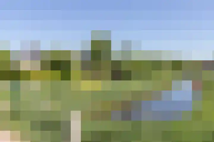 Hoendiep Oostzijde 59 Zuidhorn thumbnail 41