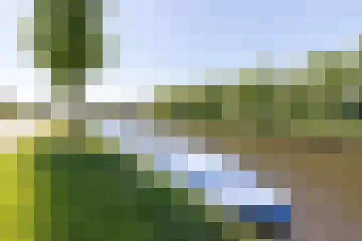 Hoendiep Oostzijde 59 Zuidhorn thumbnail 5