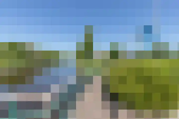 Hoendiep Oostzijde 59 Zuidhorn thumbnail 6