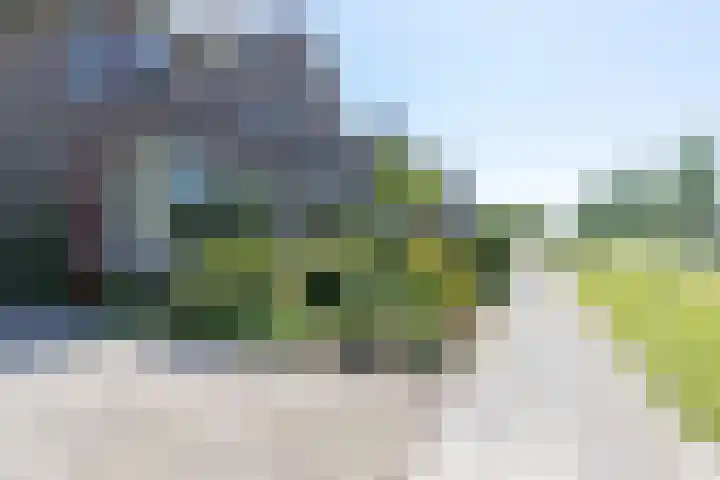 Hoendiep Oostzijde 59 Zuidhorn thumbnail 7