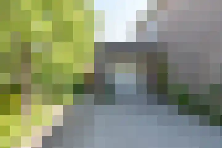 Hoendiep Oostzijde 59 Zuidhorn thumbnail 8