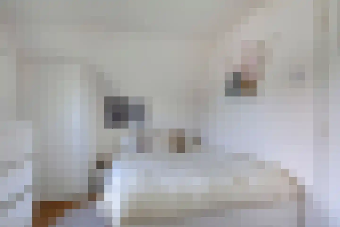 Hoendiep Westzijde 26 Briltil thumbnail 17