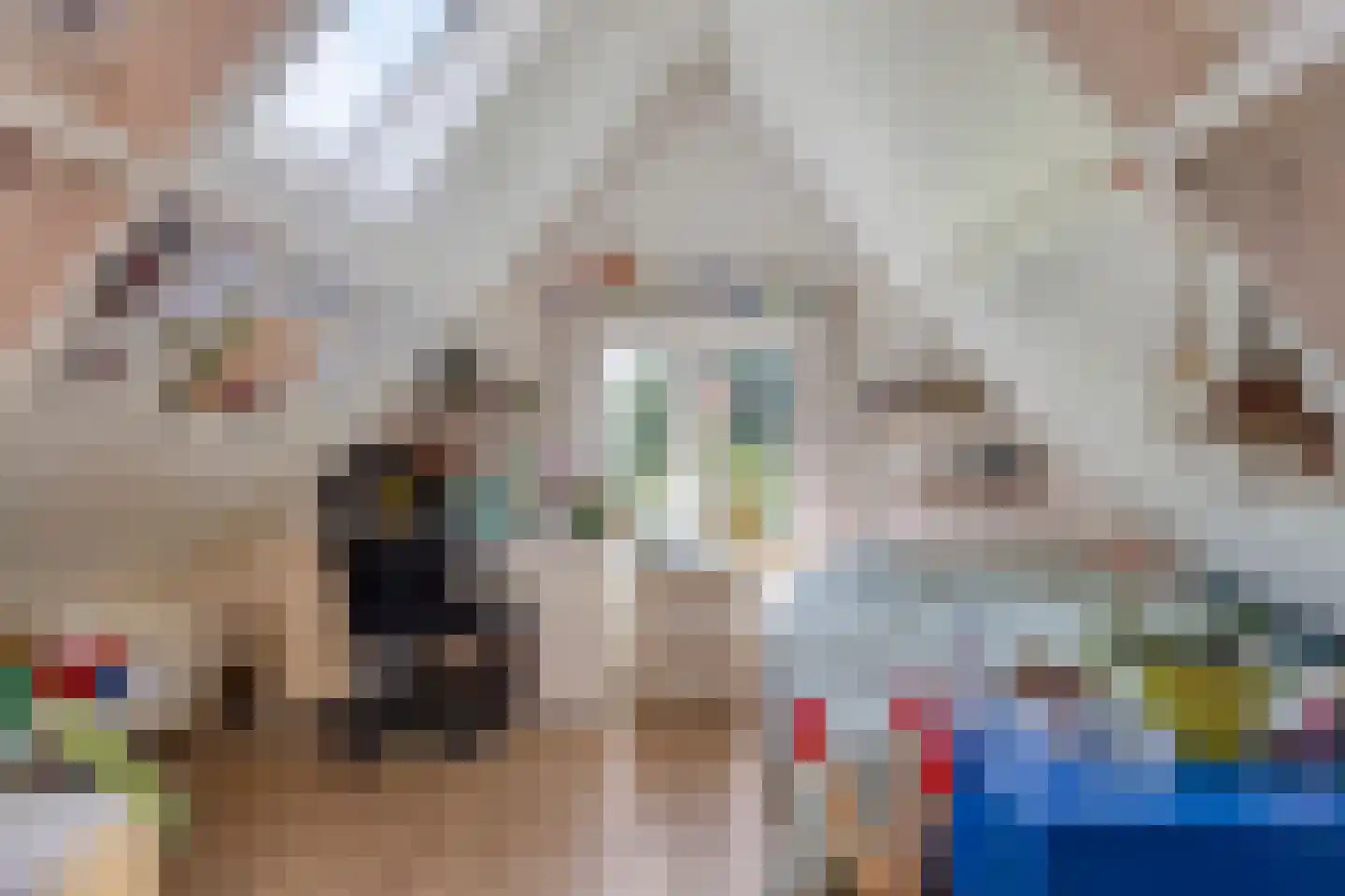 Hoendiep Westzijde 26 Briltil thumbnail 22