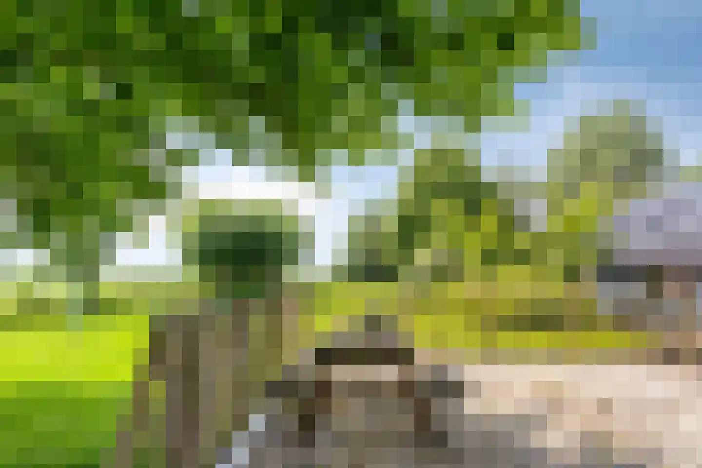 Hoendiep Westzijde 26 Briltil thumbnail 27