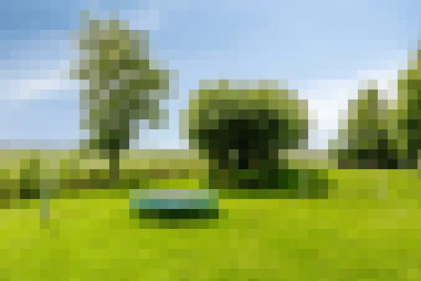 Hoendiep Westzijde 26 Briltil thumbnail 28