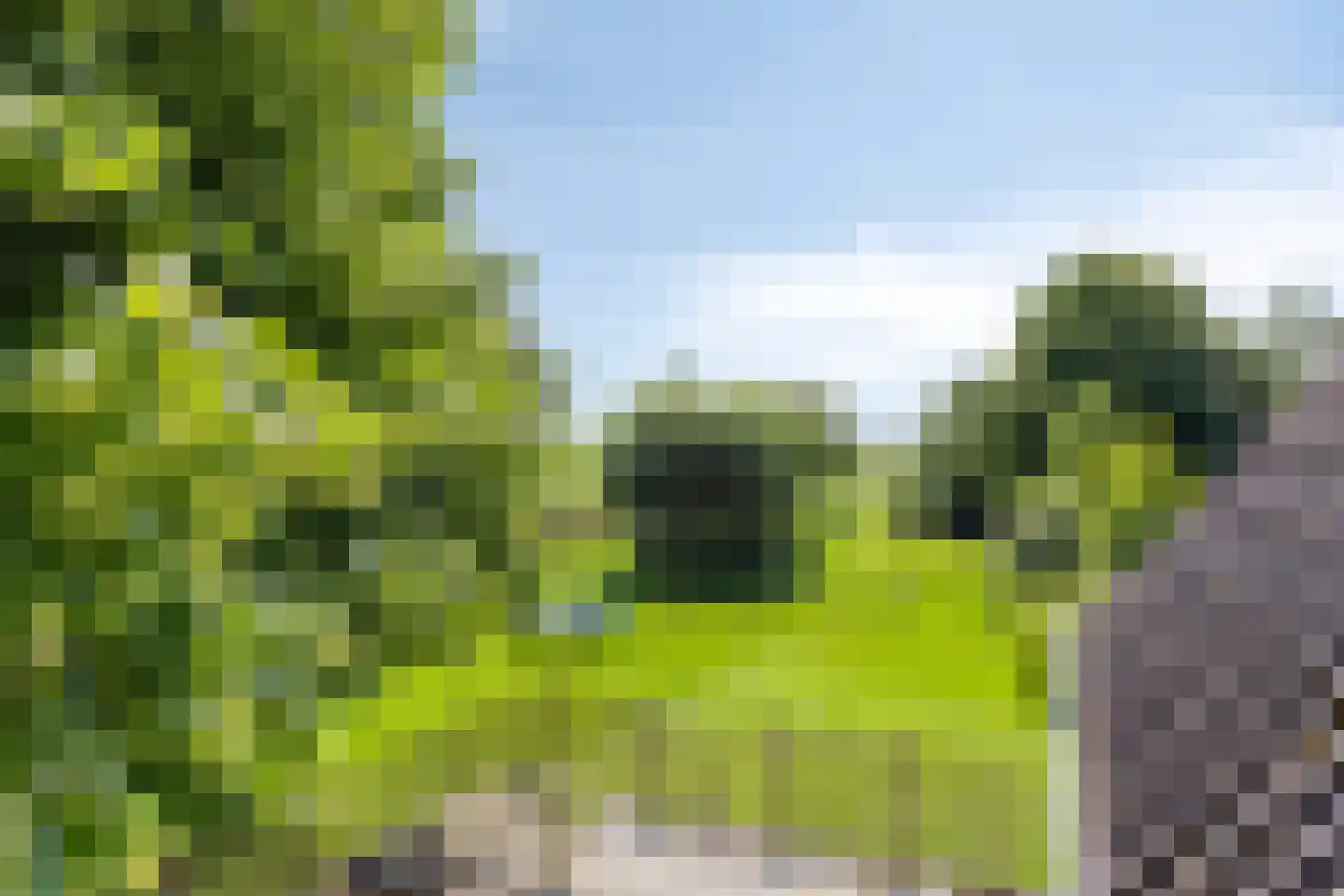 Hoendiep Westzijde 26 Briltil thumbnail 29