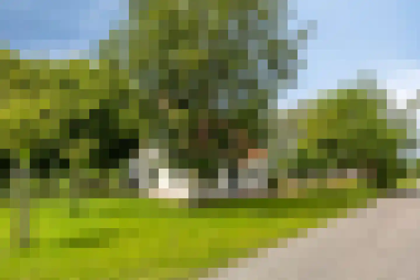 Hoendiep Westzijde 26 Briltil thumbnail 32