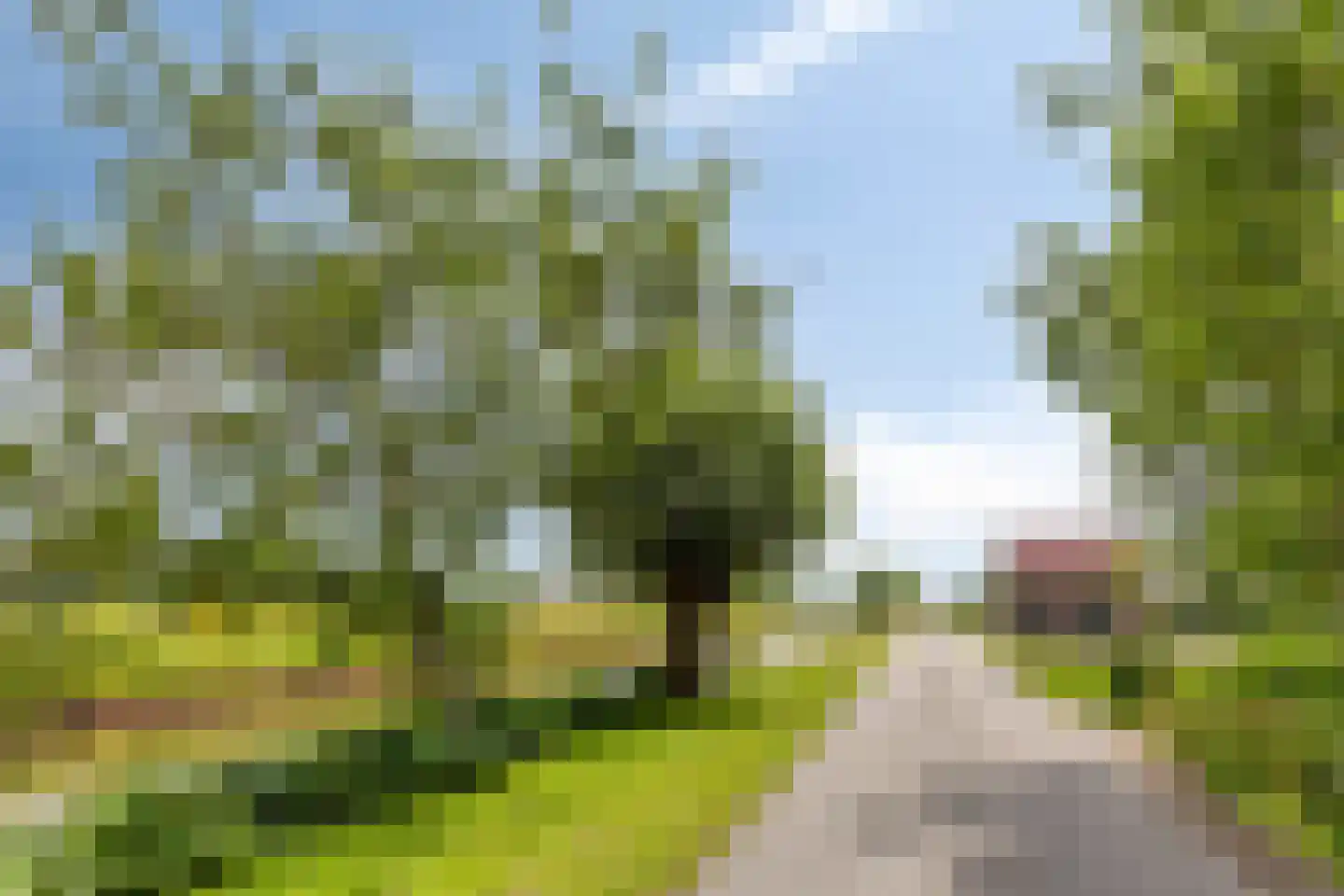 Hoendiep Westzijde 26 Briltil thumbnail 34