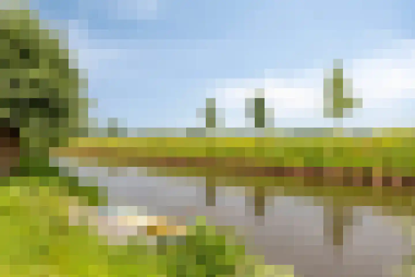 Hoendiep Westzijde 26 Briltil thumbnail 4