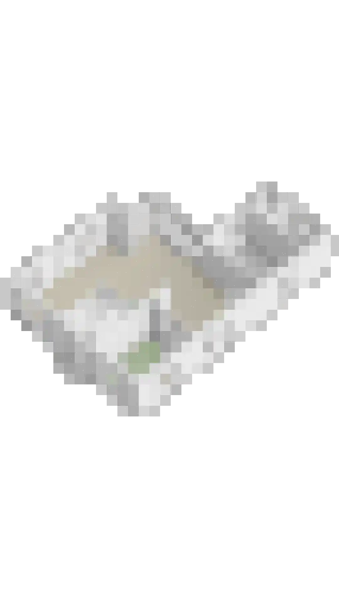 Hoendiep Westzijde 26 Briltil thumbnail 43