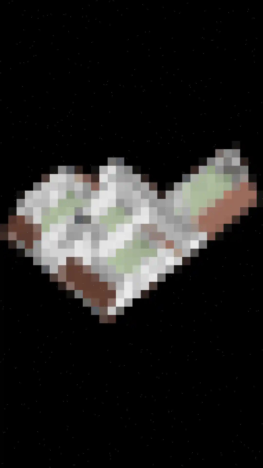 Hoendiep Westzijde 26 Briltil thumbnail 44
