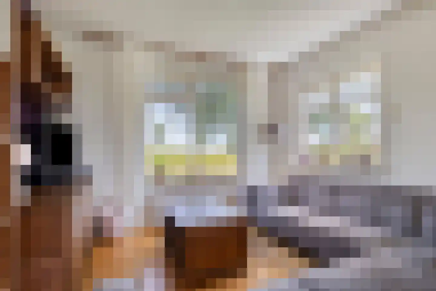 Hoendiep Westzijde 26 Briltil thumbnail 5