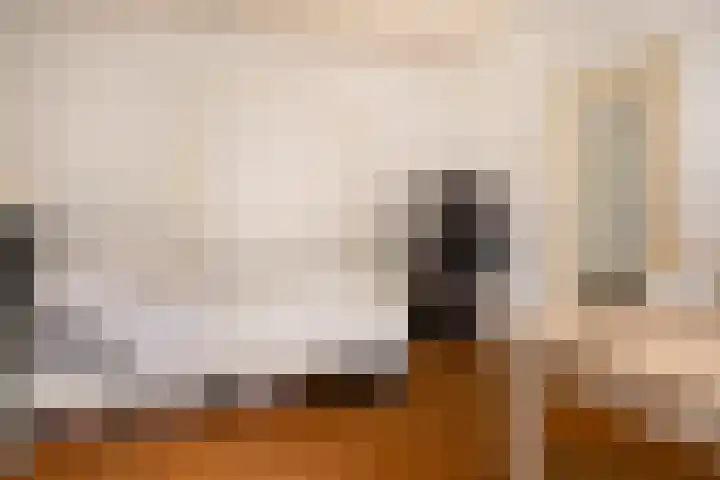 Hoendiepskade 15 Groningen thumbnail 15