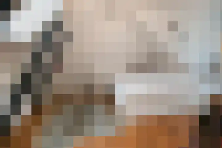 Hoendiepskade 15 Groningen thumbnail 20