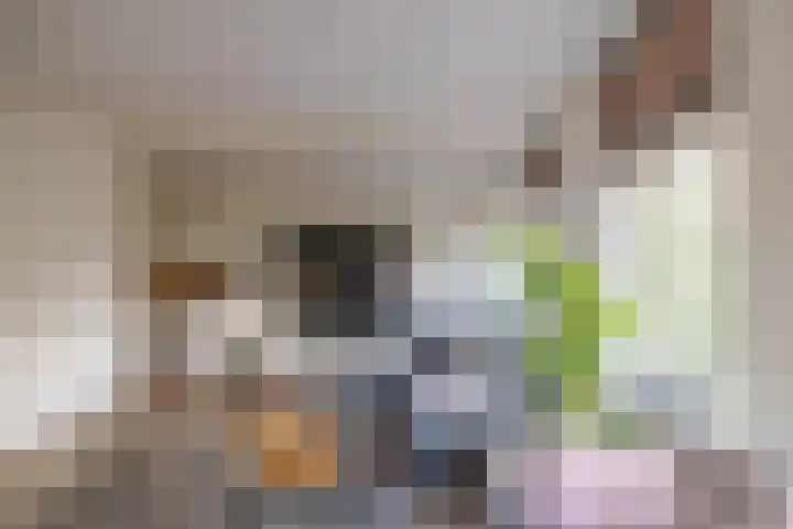 Hoendiepskade 2 a Groningen thumbnail 15
