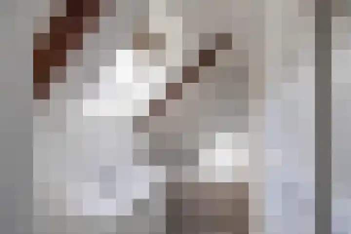 Hoendiepskade 2 a Groningen thumbnail 29