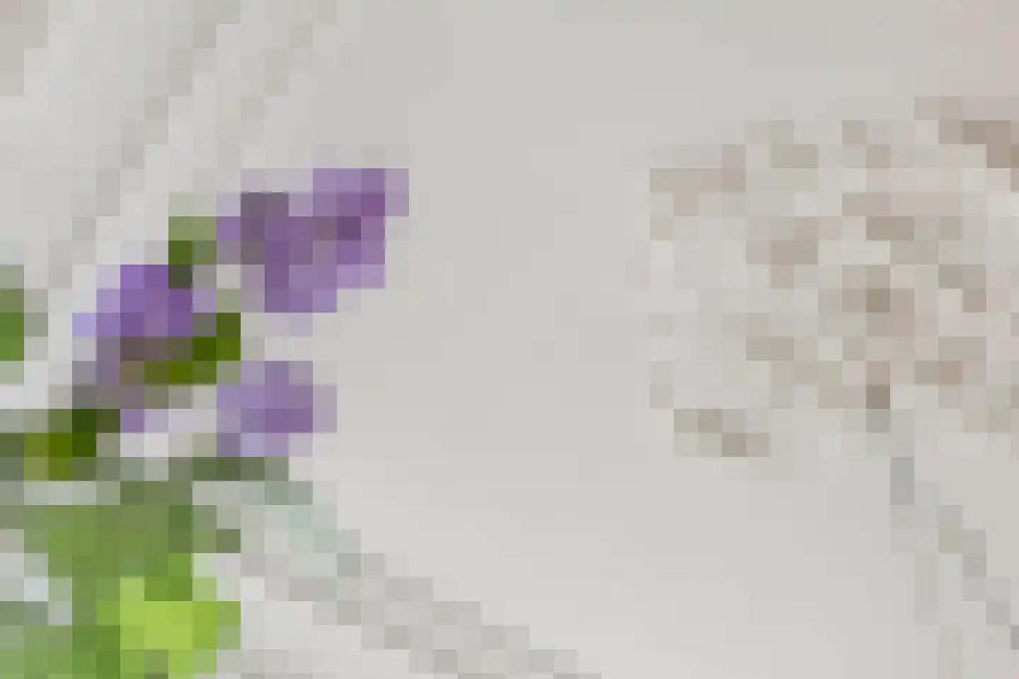 Hoendiepskade 3 Groningen thumbnail 16