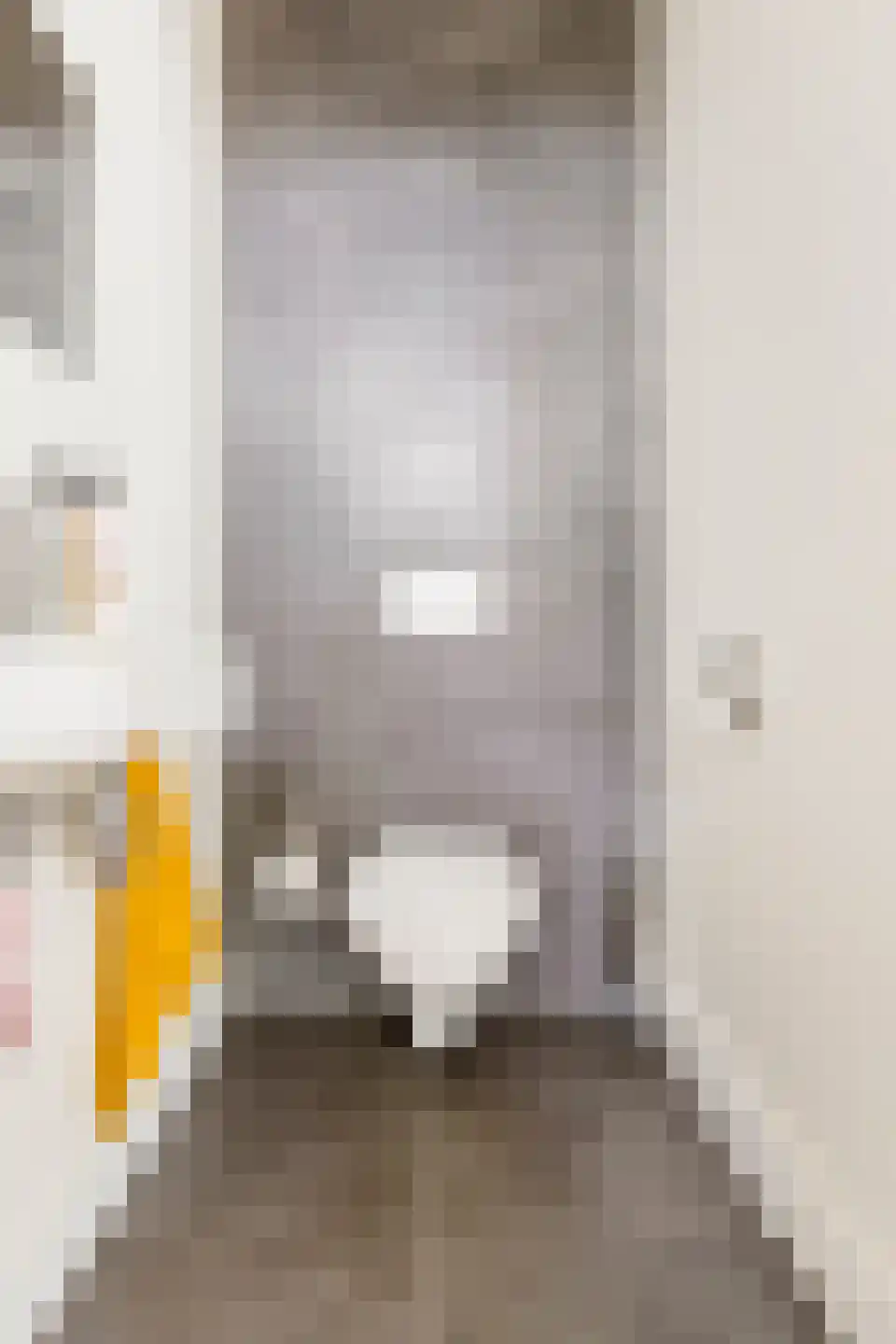 Hoendiepskade 3 Groningen thumbnail 32