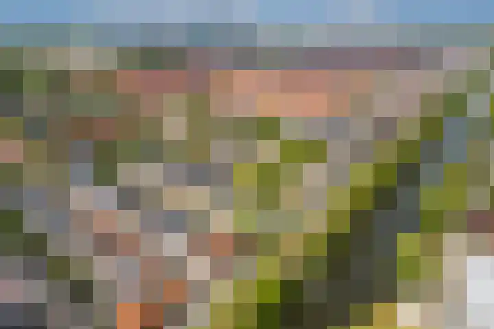 Hoendiepstraat 12 BS Utrecht thumbnail 30