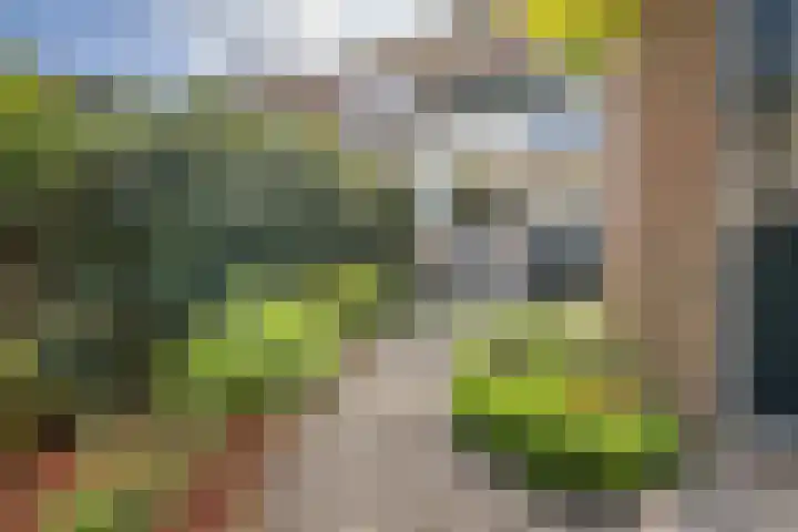 Hoendiepstraat 13 Utrecht thumbnail 20