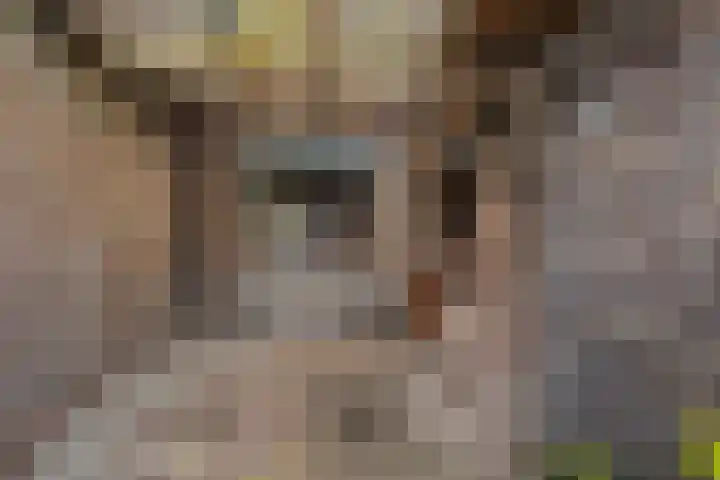 Hoendiepstraat 17 Utrecht thumbnail 34