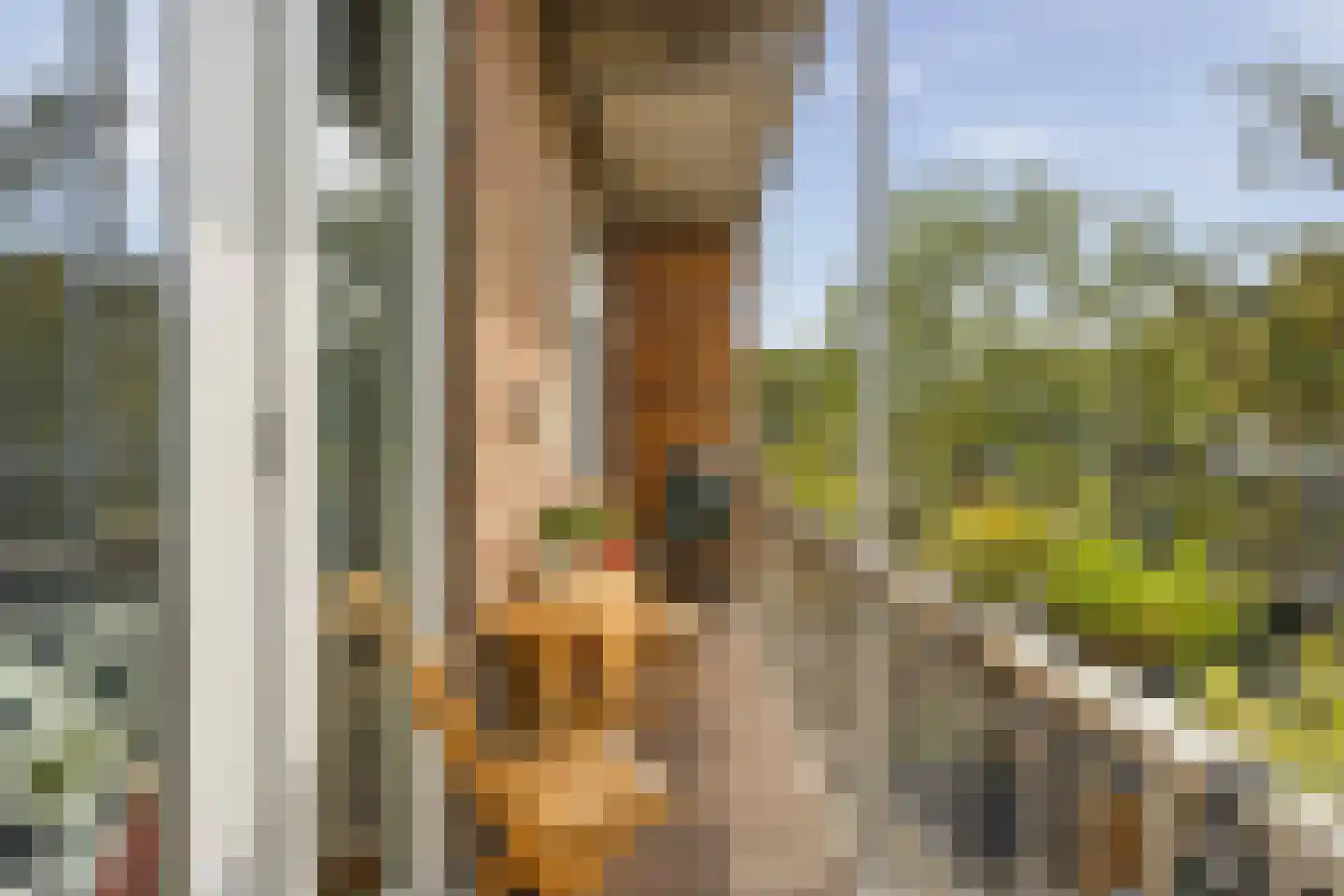 Hoendiepstraat 38 2 Amsterdam thumbnail 12