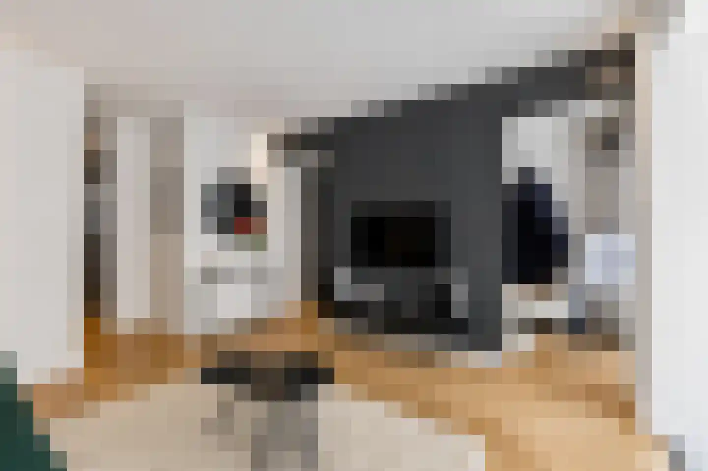 Hoendiepstraat 40 2 Amsterdam thumbnail 20