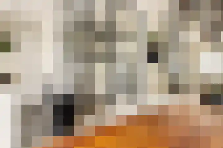 Hoendiepstraat 44 H Amsterdam thumbnail 16
