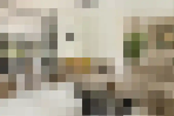 Hoendiepstraat 44 H Amsterdam thumbnail 6