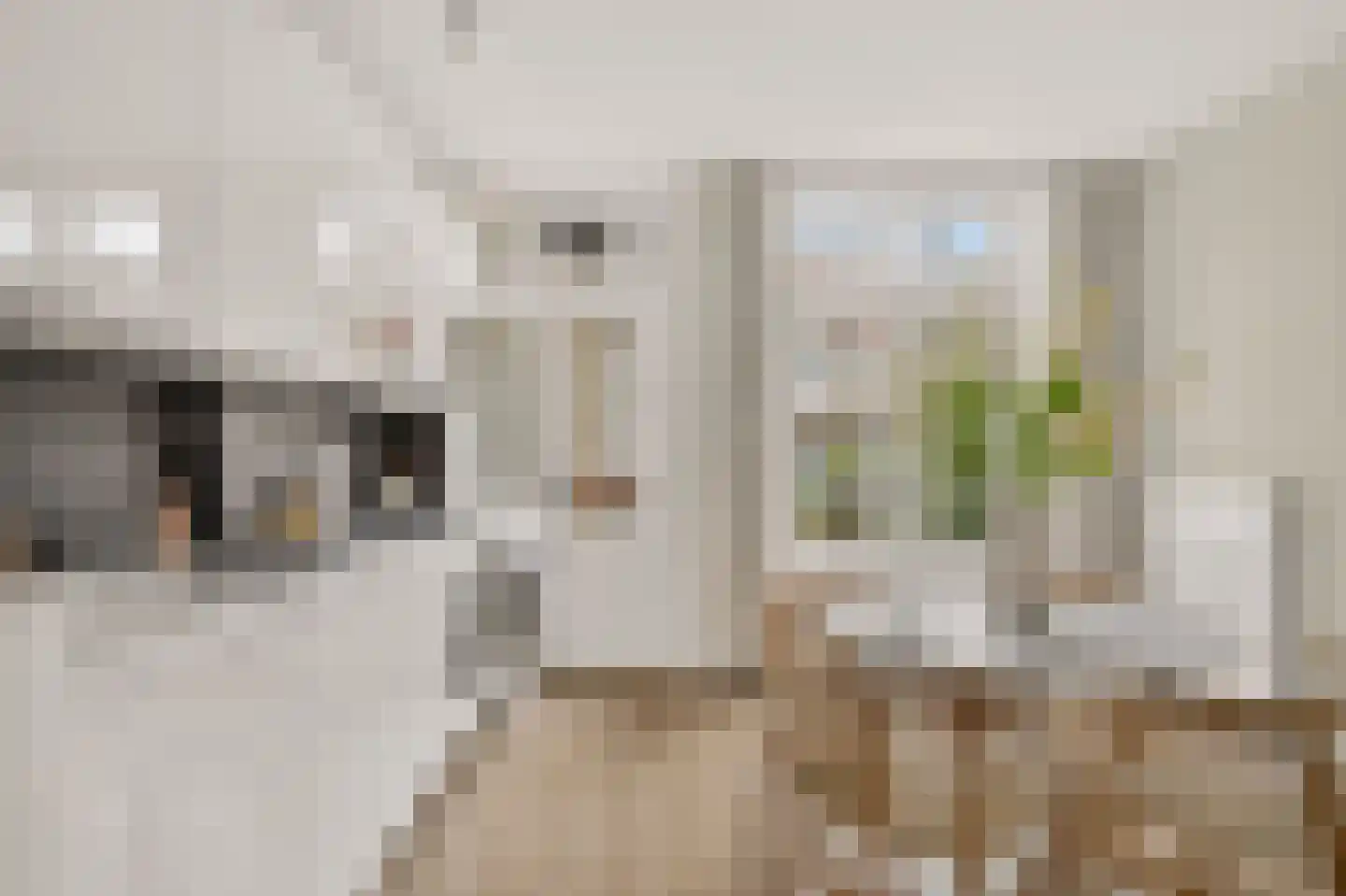 Hoendiepstraat 5 1 Amsterdam thumbnail 12