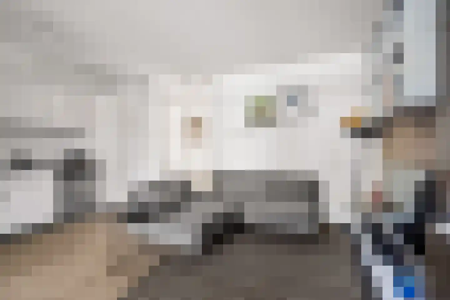 Hoendiepstraat 7 Utrecht thumbnail 21