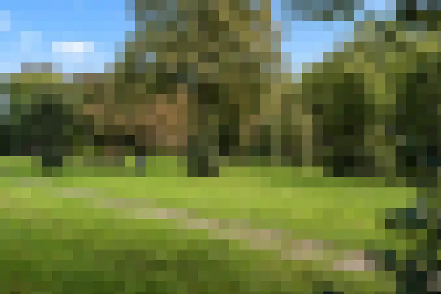 Hoendiepstraat 7 Utrecht thumbnail 36