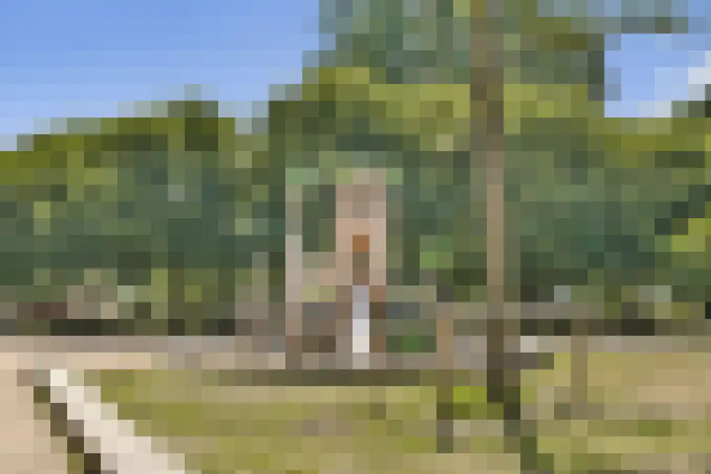 Hoendiepstraat 8 1 Amsterdam thumbnail 33