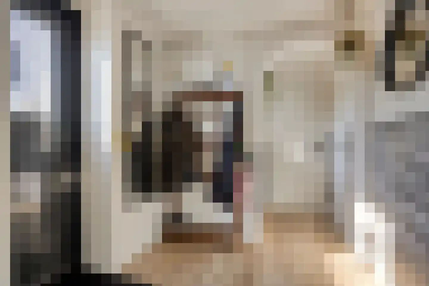 Hoenkoopse Buurtweg 38 Haastrecht thumbnail 12