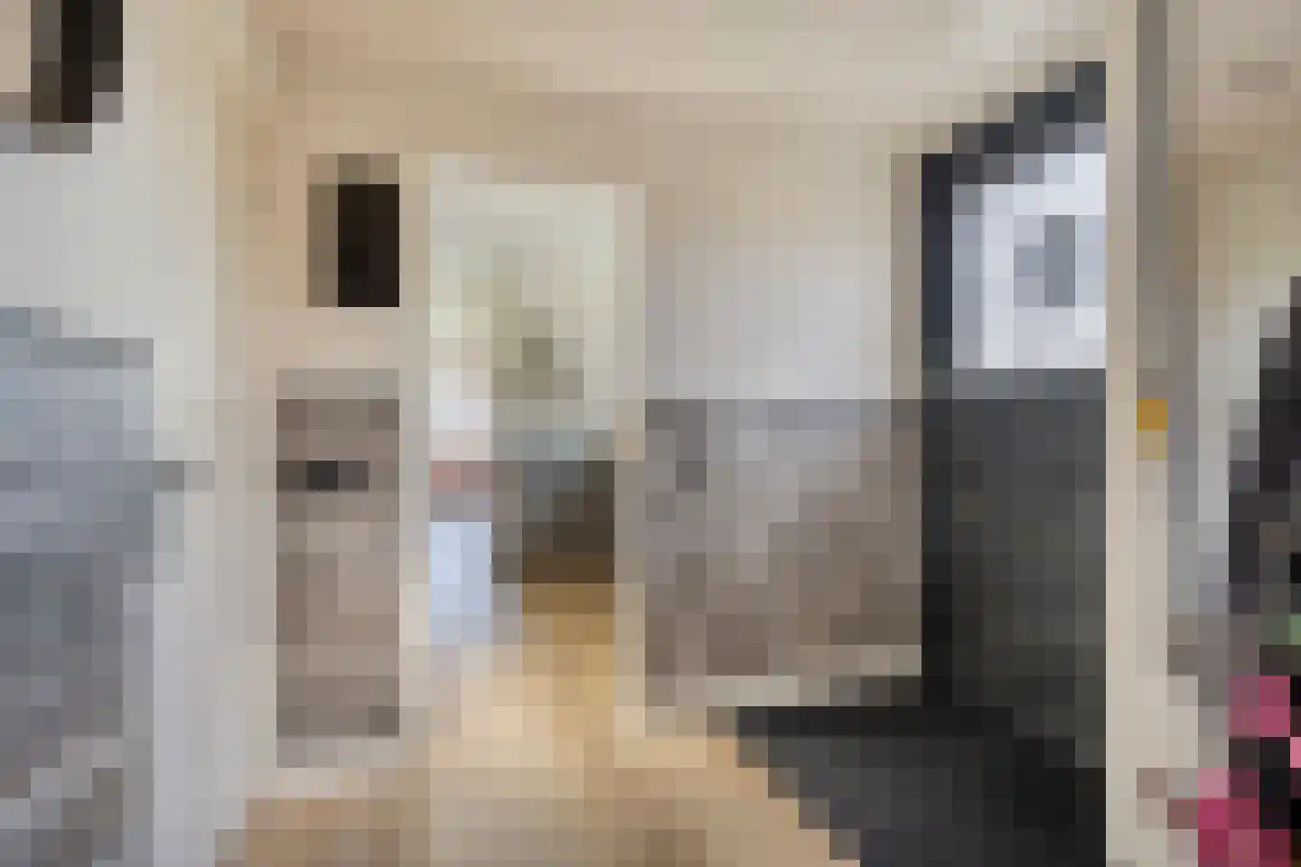 Hoenkoopse Buurtweg 38 Haastrecht thumbnail 16