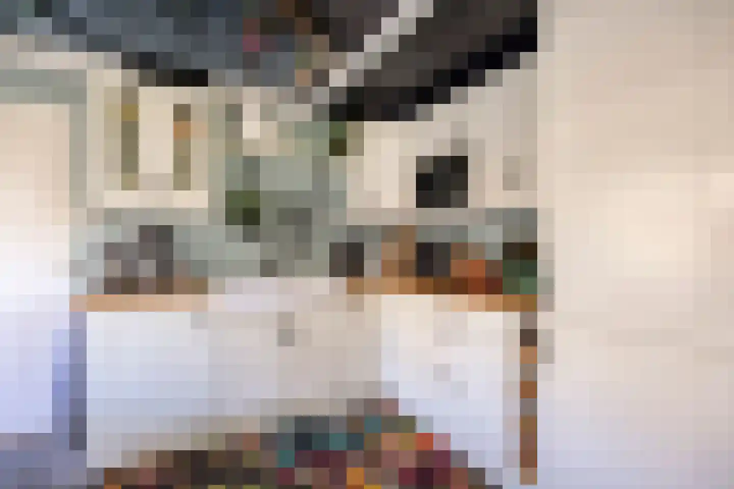 Hoenkoopse Buurtweg 38 Haastrecht thumbnail 30