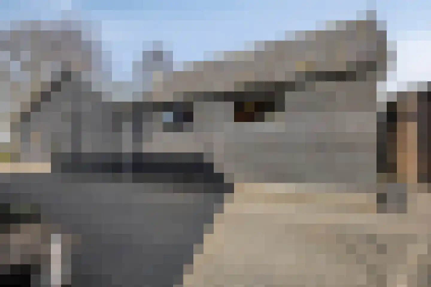 Hoenkoopse Buurtweg 38 Haastrecht thumbnail 37