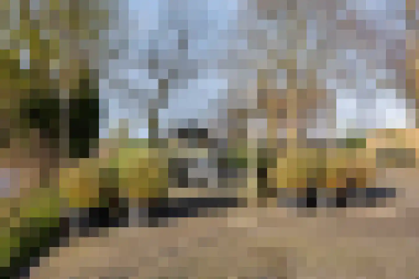Hoenkoopse Buurtweg 38 Haastrecht thumbnail 41
